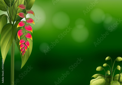 A green stationery design with pink flowers
