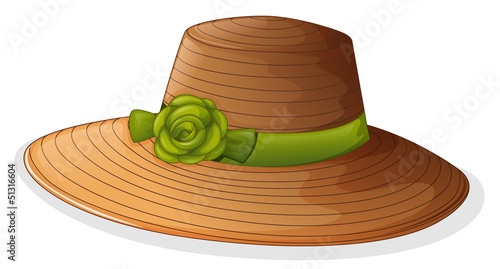 A brown hat with a green ribbon
