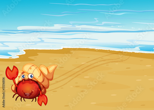 A red crab with a shell at the seashore