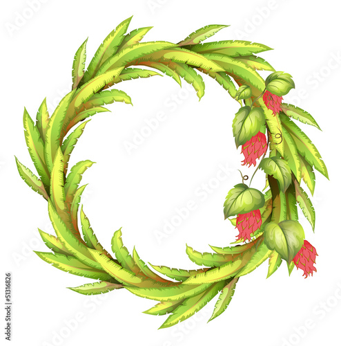 A round border made of long leaves