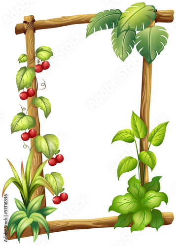 A frame made of wood with vine plants