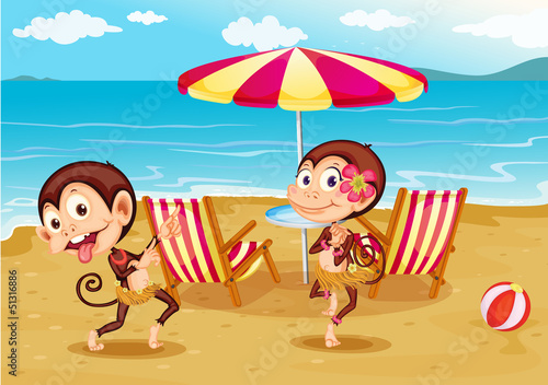 A beach with two monkeys