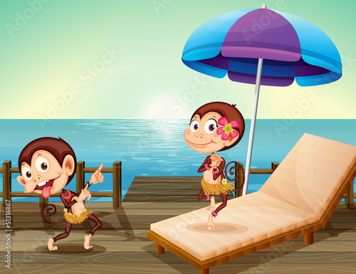 Two monkeys at the wooden bridge