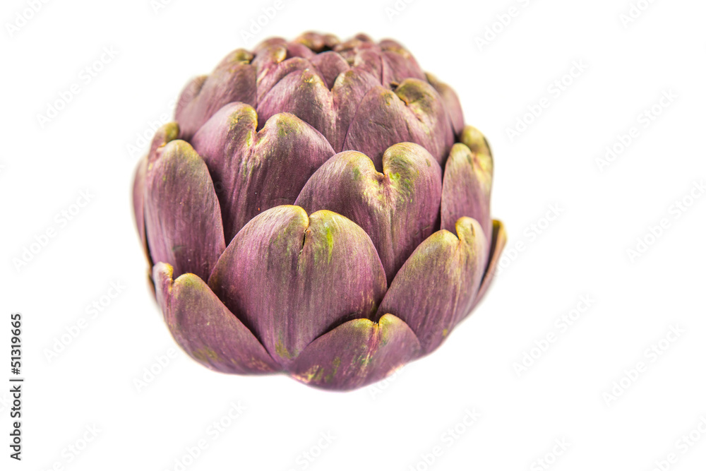Obraz premium Artichoke with white background
