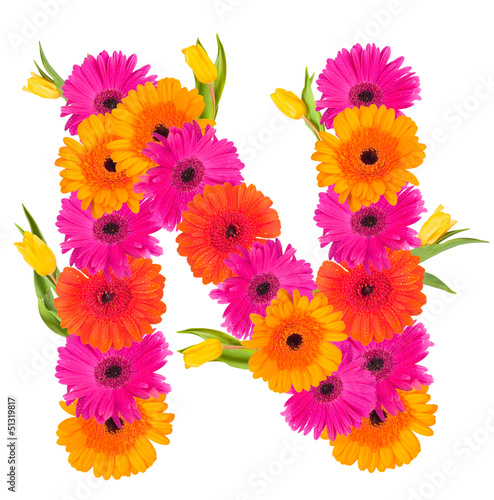 N, flower alphabet isolated on white 