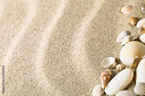 Sand and Shells