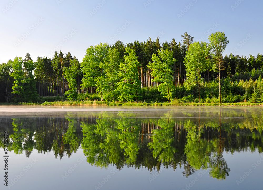 Fototapeta premium Spring landscape with pond in Czech Republic