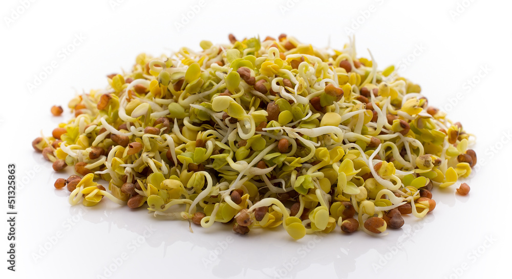 Fresh radish sprouts. Fresh radish sprouts.