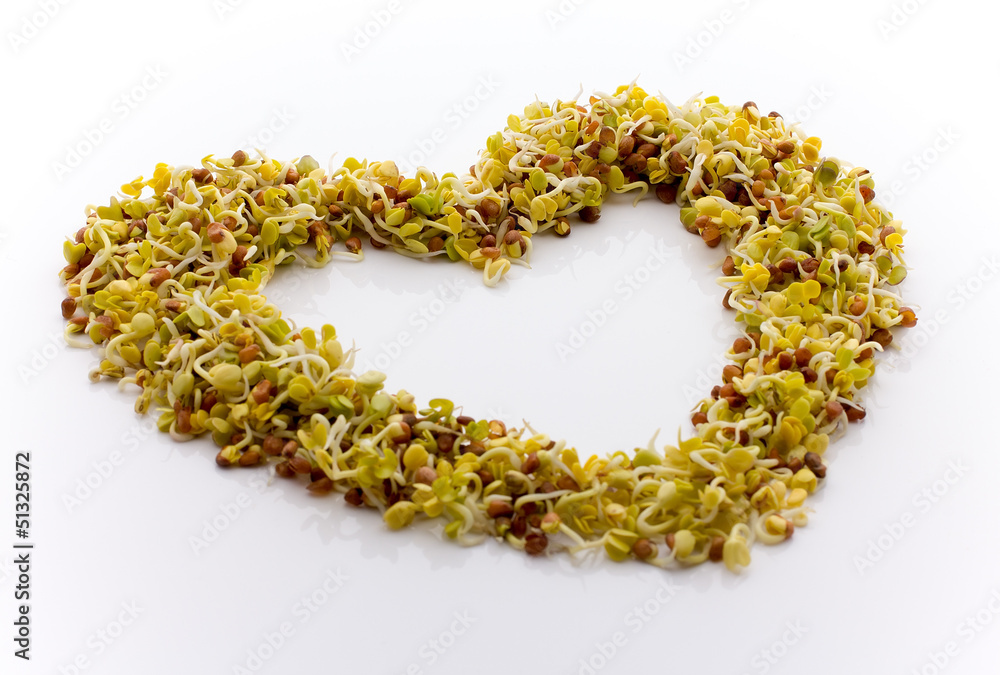 Obraz premium Fresh alfalfa sprouts.