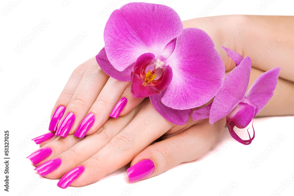 hands with pink orchid. isolated