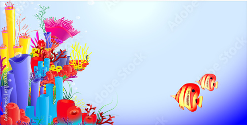 new home. new life. yellow fish and corrals.