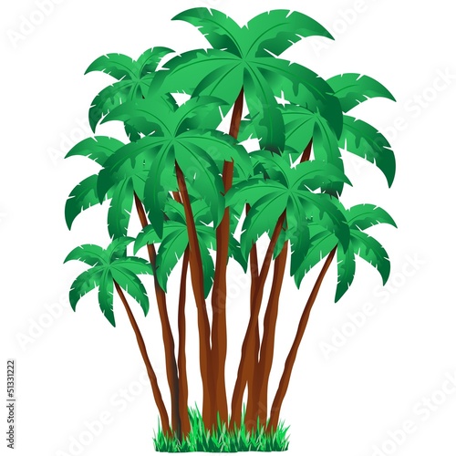 Palm Trees Group-Ciuffo di Palme in Gruppo-Vector