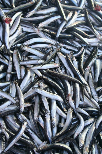 anchovies at bazaar