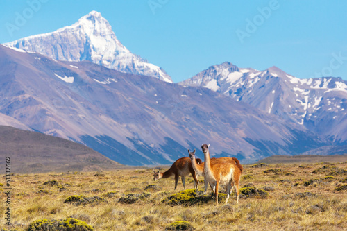 Perito Moreno National Park, Patagonia, Argentina