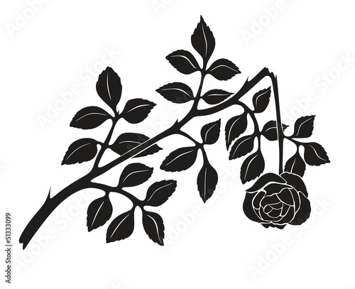 rose1104a