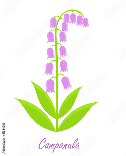 Bell flower