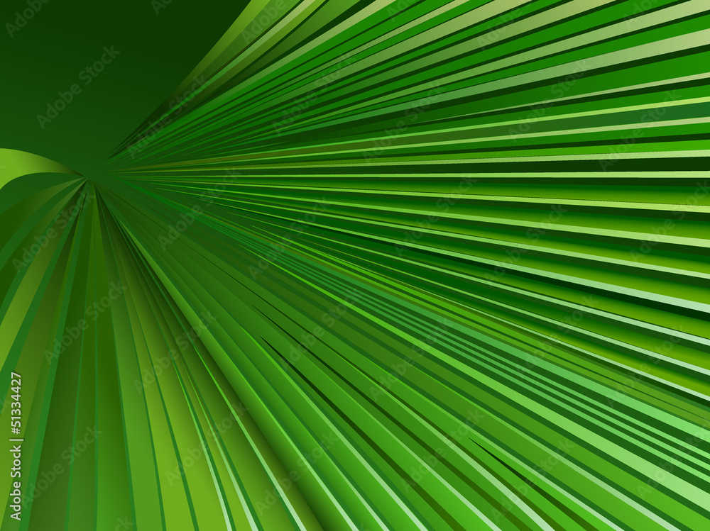Palm Leaf graphic Palm Leaf graphic