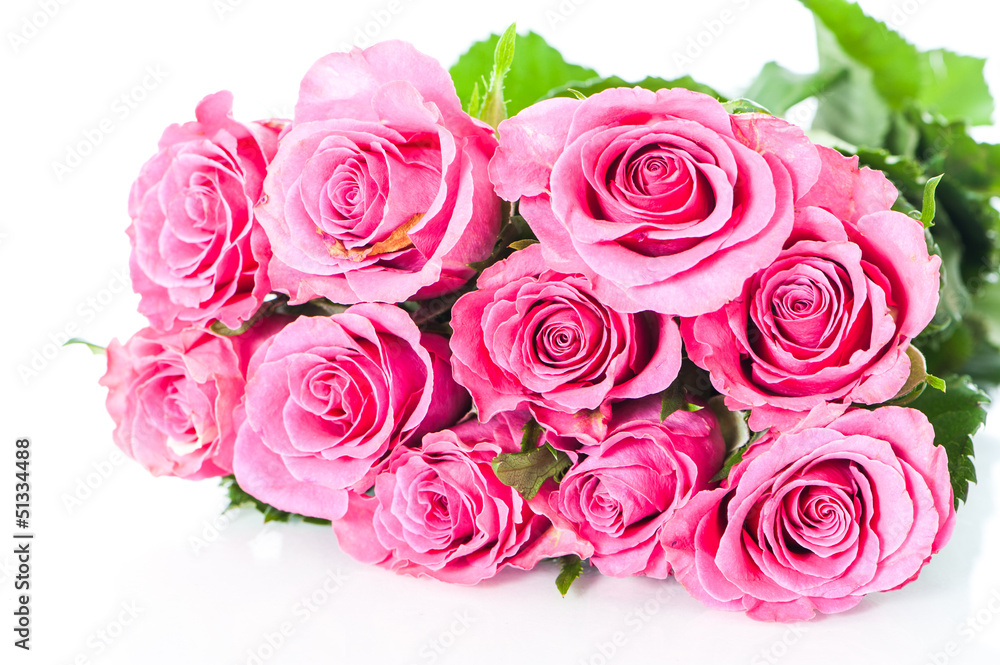 Roses Roses