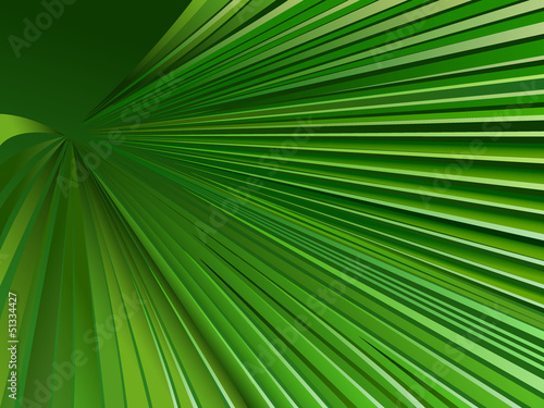 Palm Leaf graphic © AGR