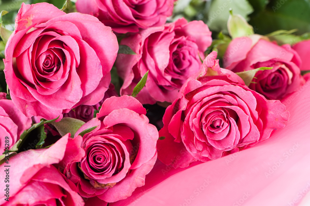Obraz premium Roses - Rosen
