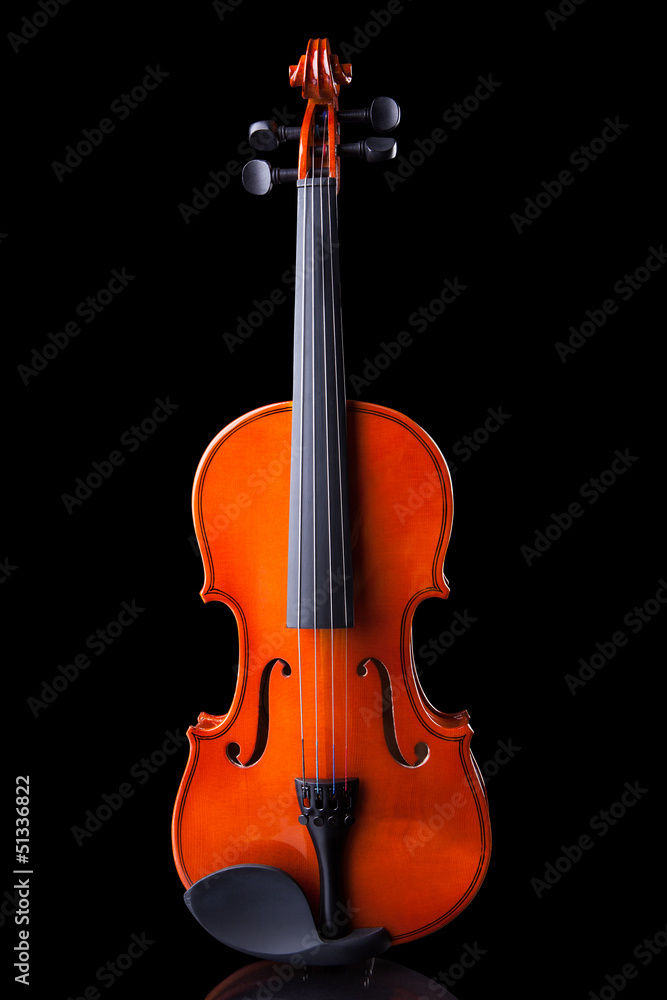 Fototapeta premium Vintage Violin