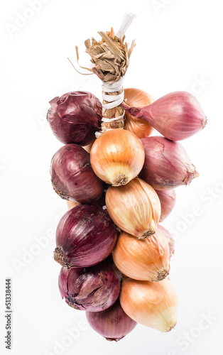 Cipolle - Onions photo