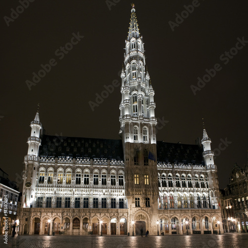 Brussels City Hall/Town Hall (Hotel de Ville)