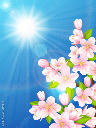 Cherry tree