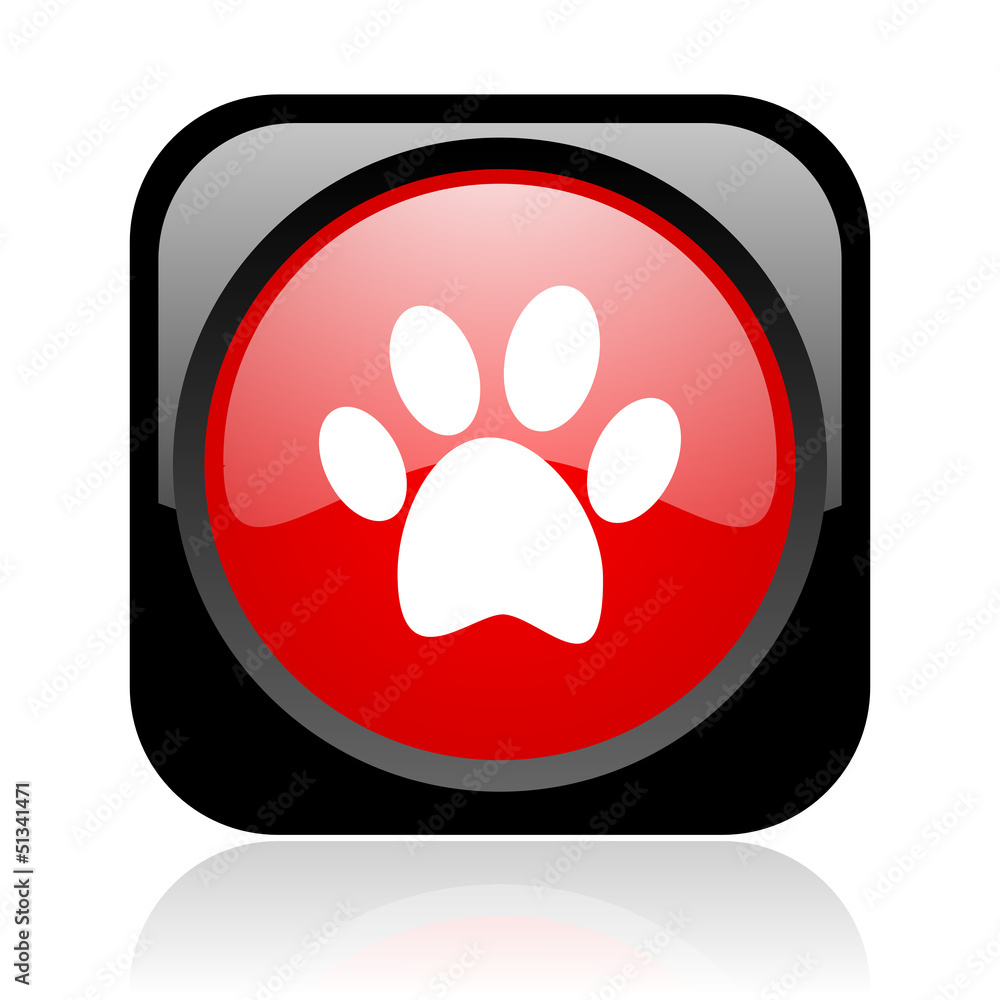 animal footprint black and red square web glossy icon animal footprint black and red square web glossy icon