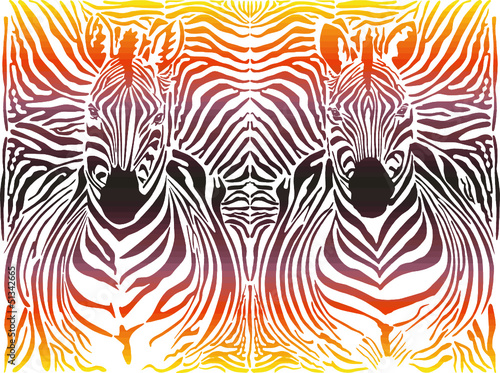 Zebra abstract pattern background