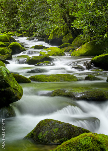 Roaring Fork Creek  Smoky Mountains National Park