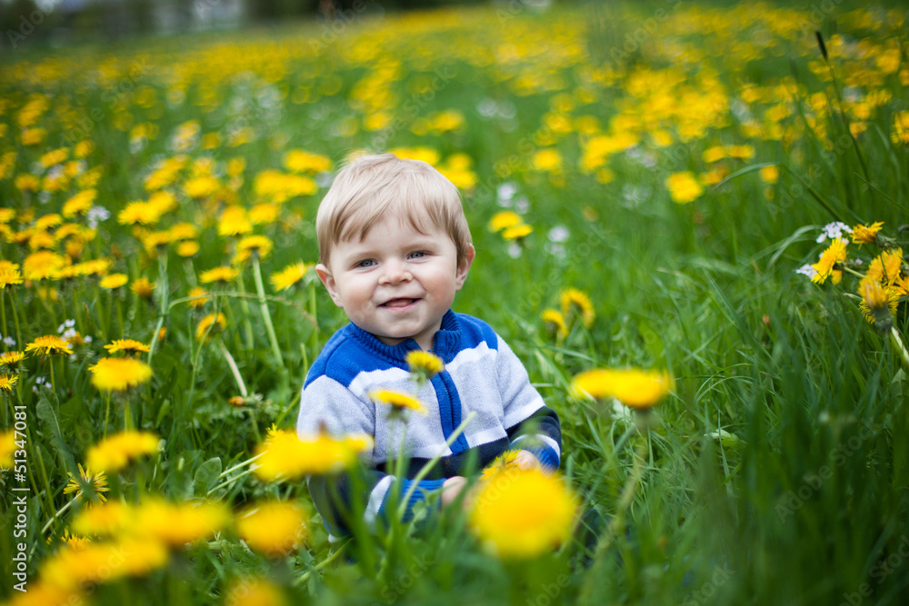 Sweet baby boy in yellow flowers field summer Sweet baby boy in yellow flowers field summer