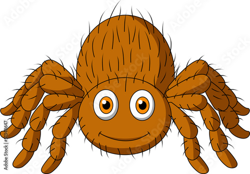 Cute tarantula spider cartoon