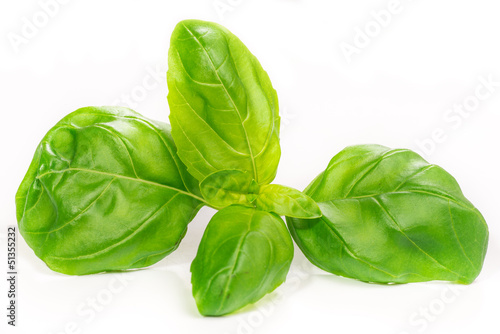 Basil leaves, isolated on white