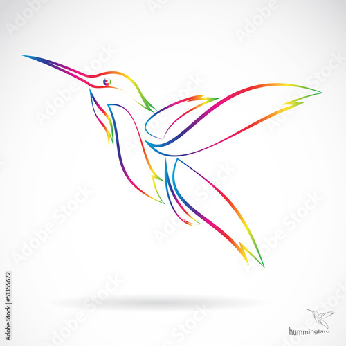 Vector image of an hummingbird on white background