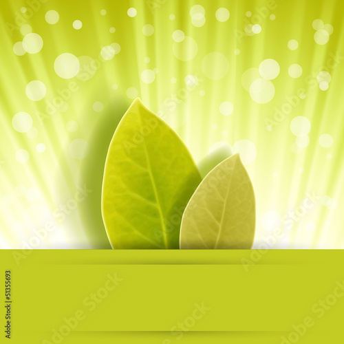 leaf rus in cute background