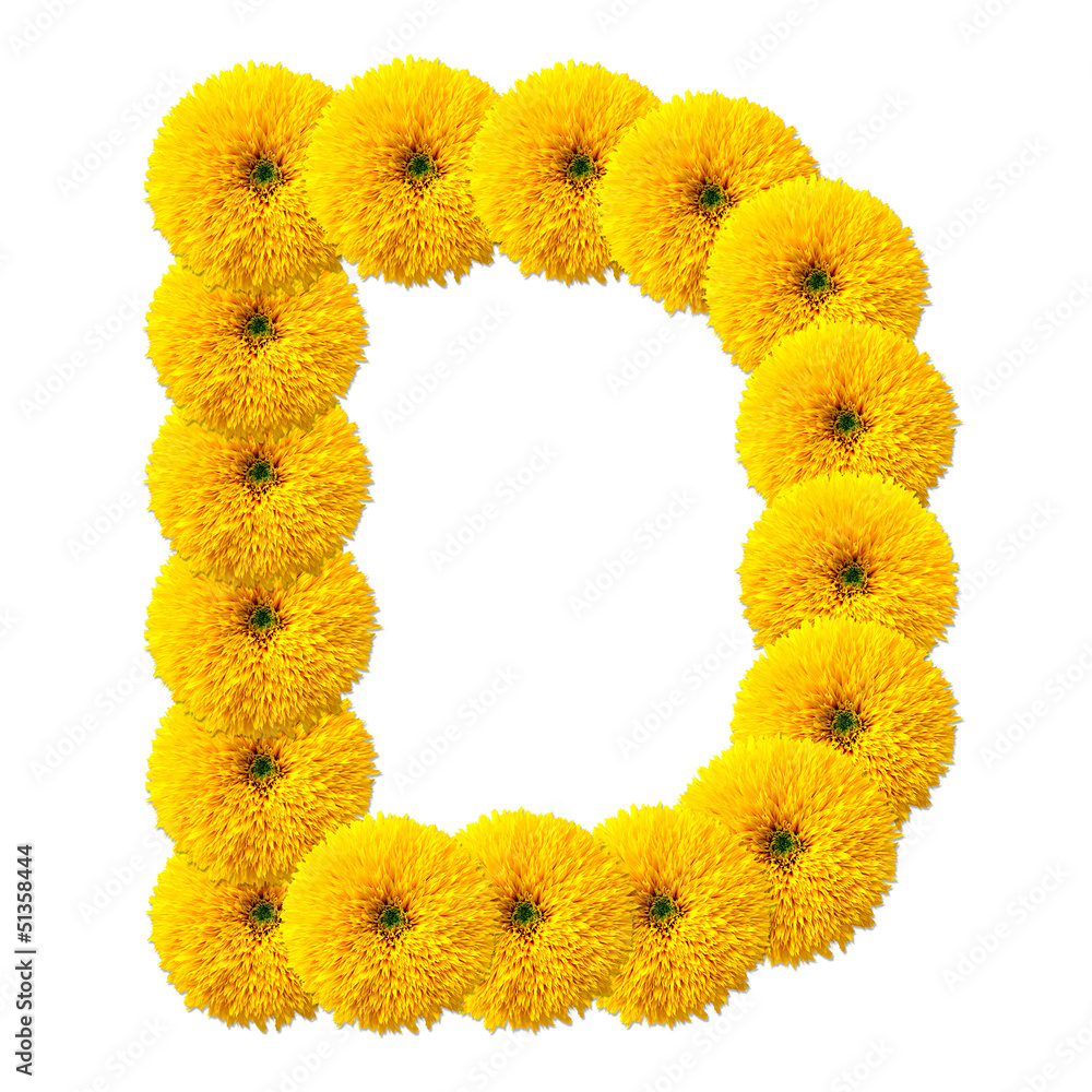 letter of the alphabet of flowers