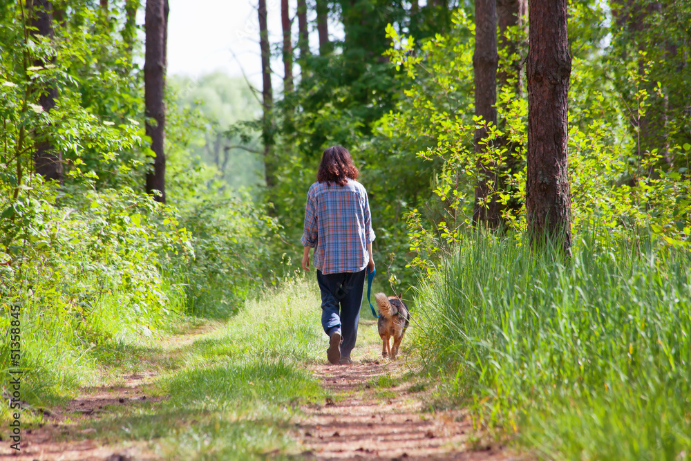 Young woman with her dog walking in the wood Young woman with her dog walking in the wood