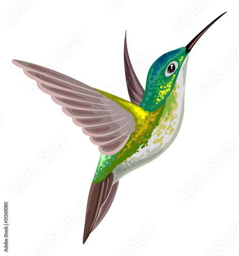 Hummingbird