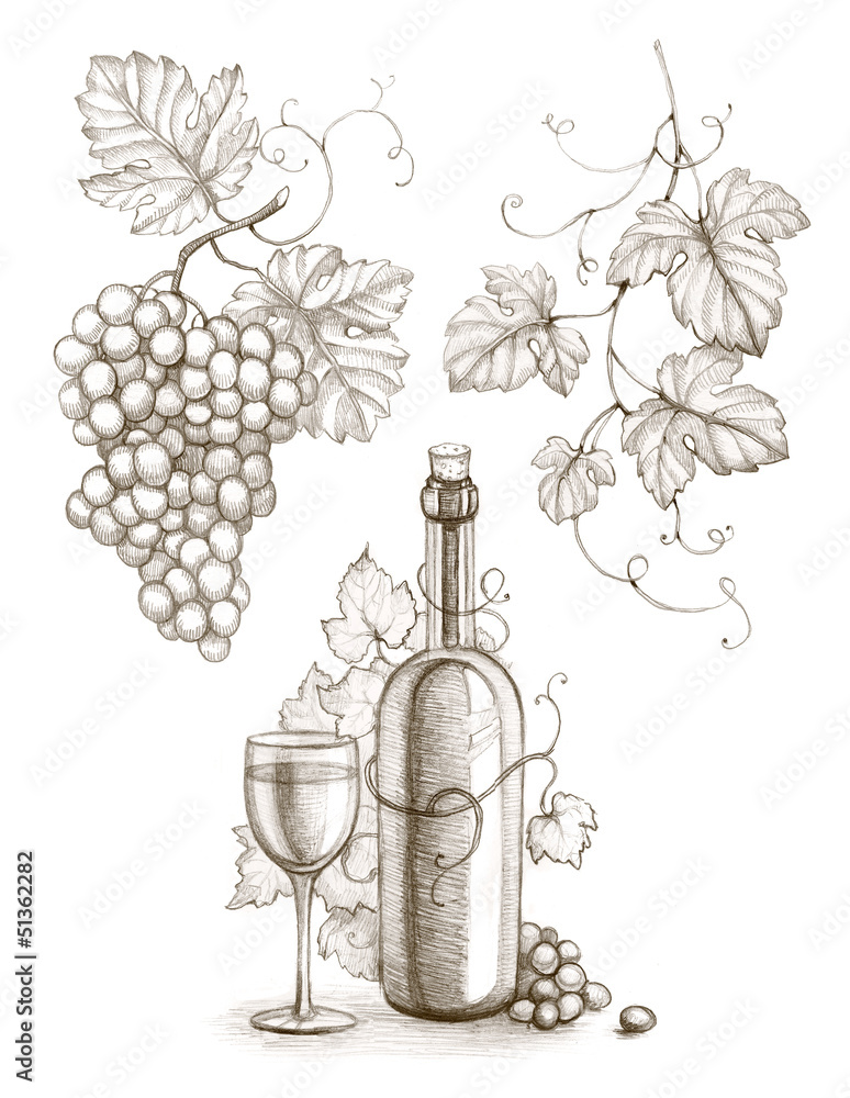 Grape Drawing Images  Free Download on Freepik