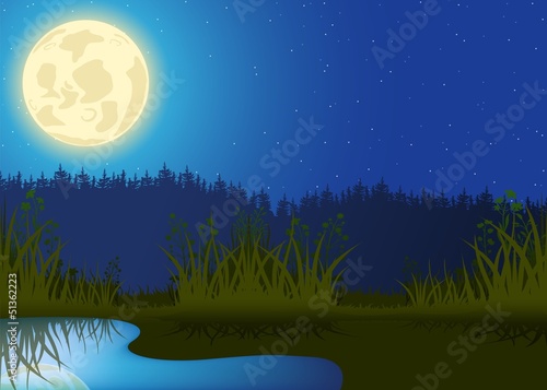 Night Landscape