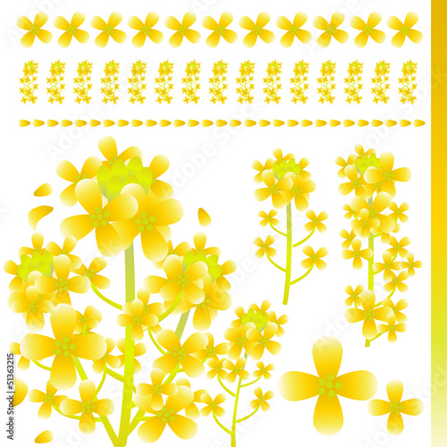 菜の花　素材セット