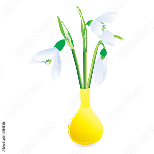 bouquet of snowdrops