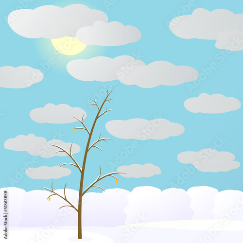 Winter in forest.