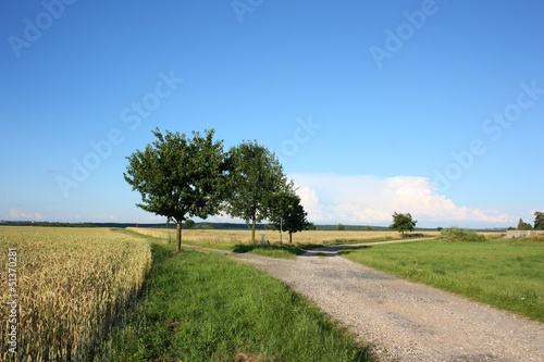 idyllic countryside