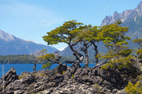 National park Lanin, lake Huechulafquen, Patagonia, Argentina photo