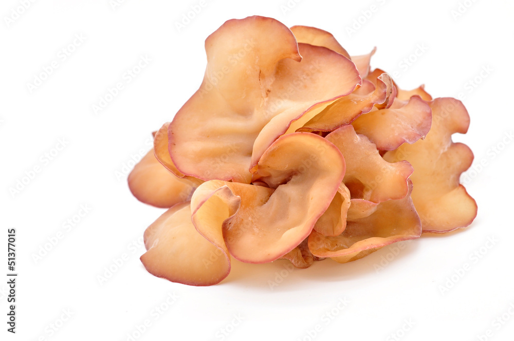 Fototapeta premium black fungus