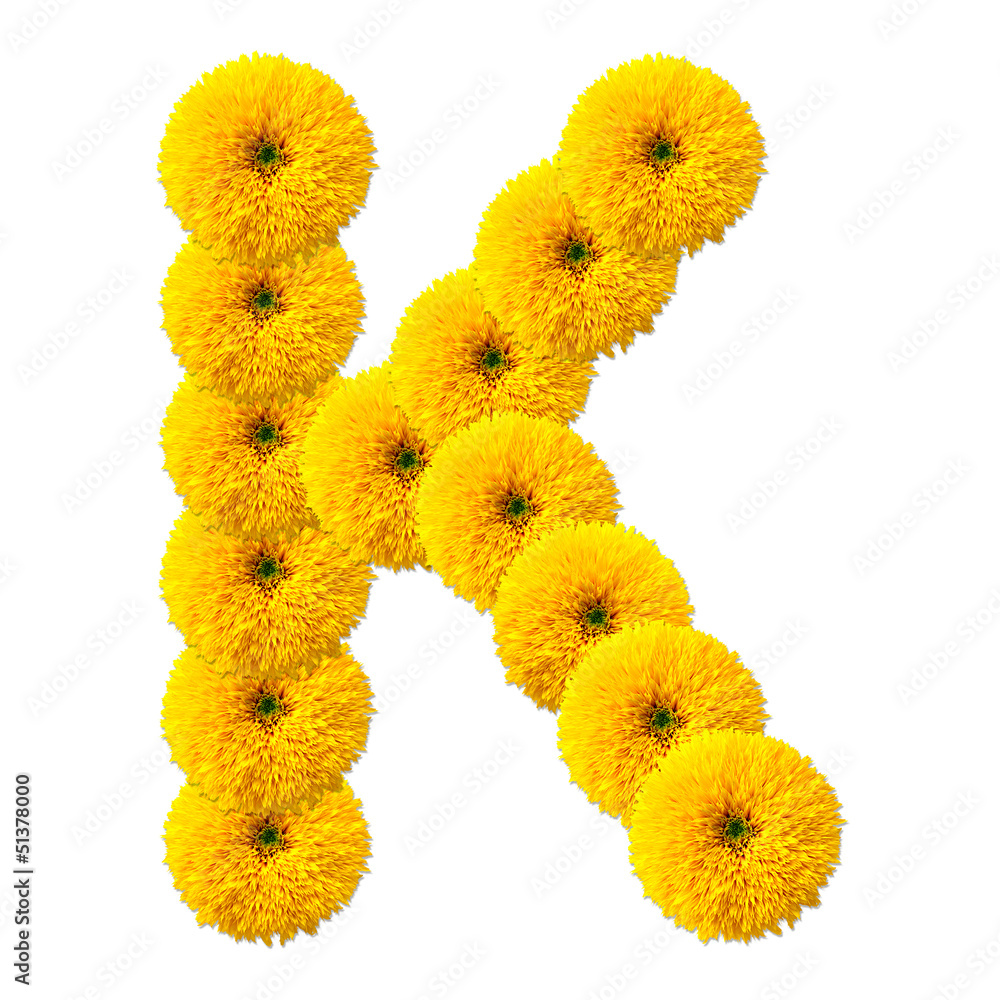 letter of the alphabet of flowers letter of the alphabet of flowers