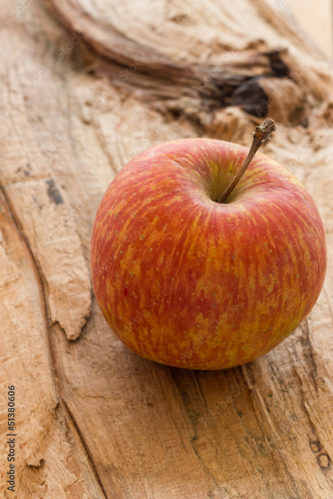 Apple Apple