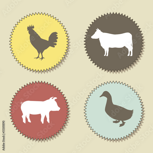 farm animals